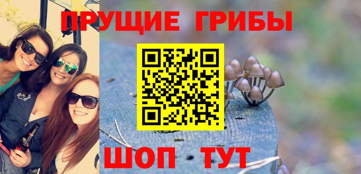 Сунжа  магазин продажи наркотиков  Галлюциногенные грибы Magic Shrooms  Вход с VPN  Галлюциногенные грибы Magic Shrooms 