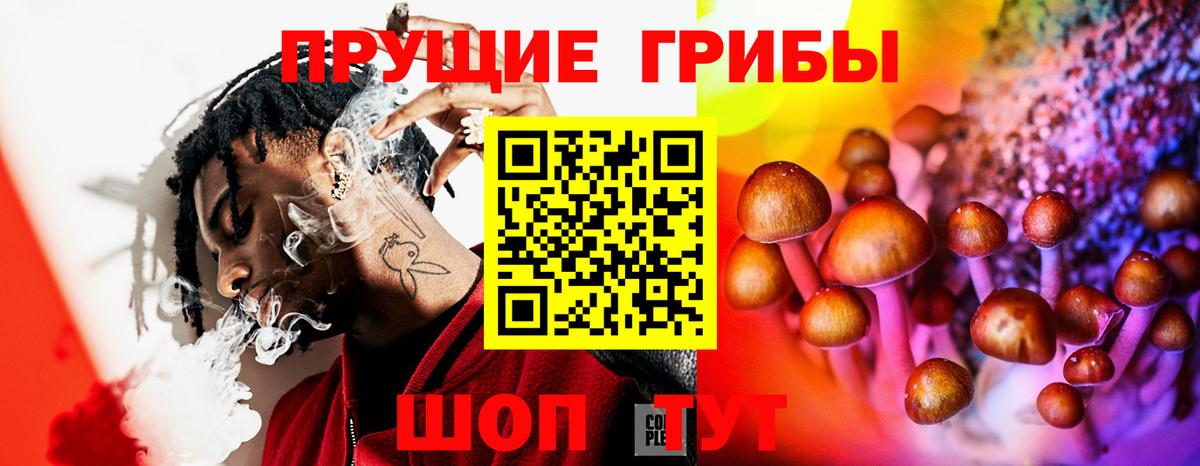 Псилоцибиновые грибы прущие грибы Сунжа